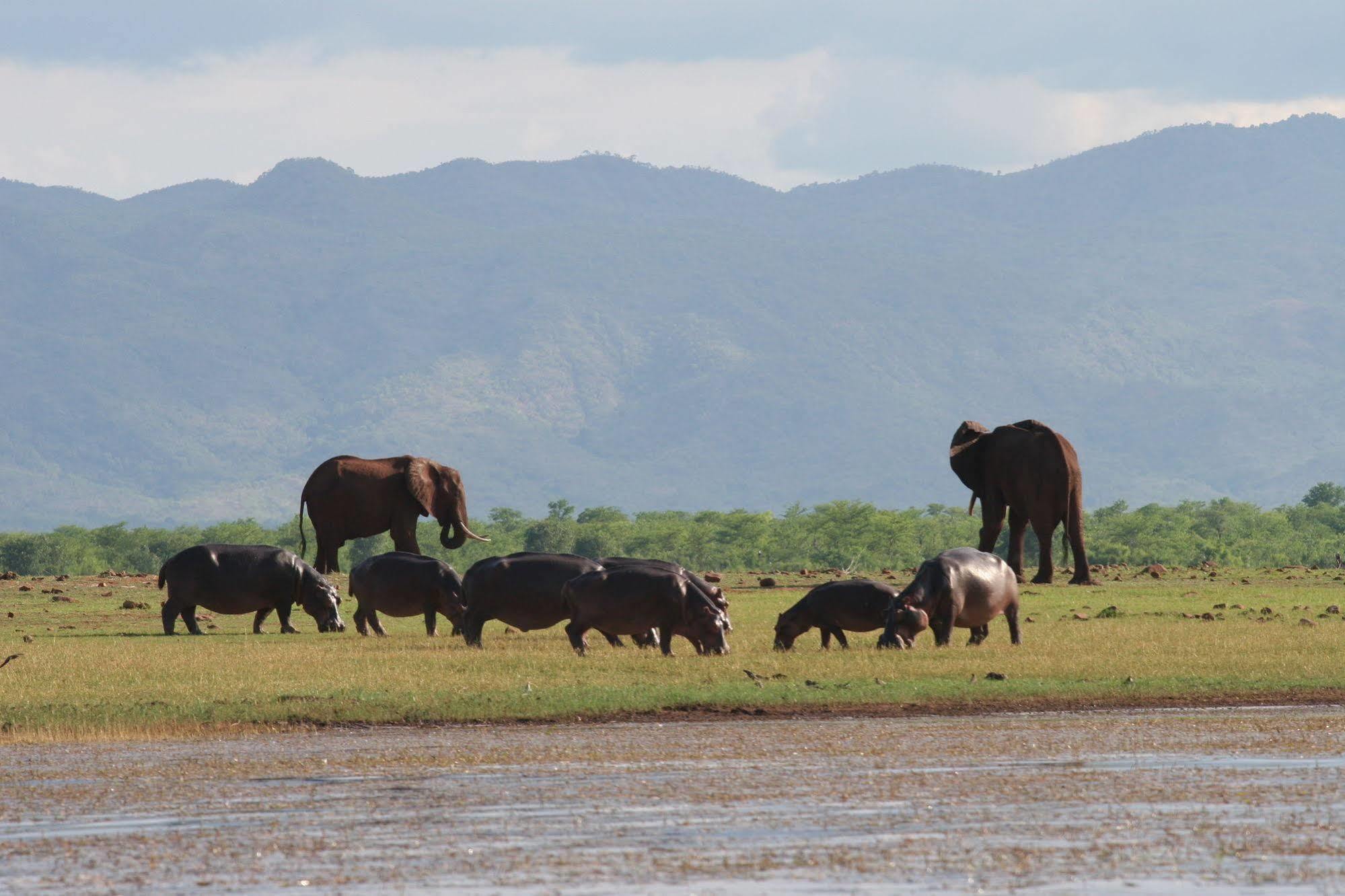 Changa Safari Camp Matusadona National Park Kültér fotó